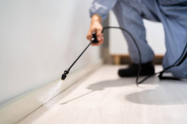 Bed Bug Pre-Treatment Preparation Assessment in Heflin