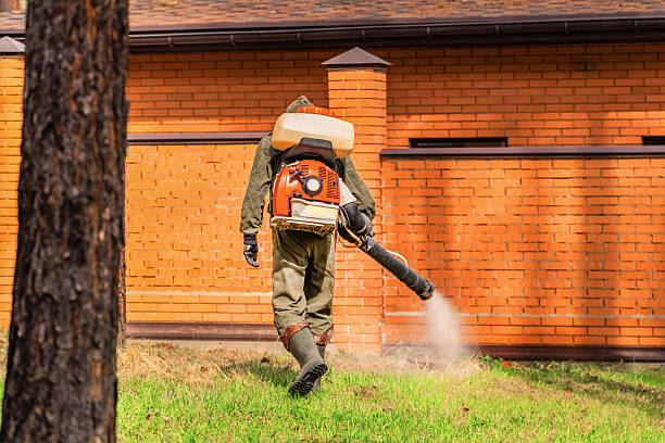 Bed Bug Clearance Verification and Documentation in Heflin